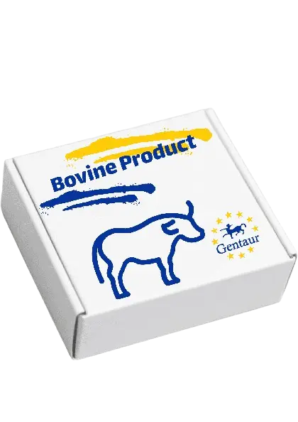 Bovine Serum Albumin ''BSA'' in NEB buffer   4x 1.5 mL