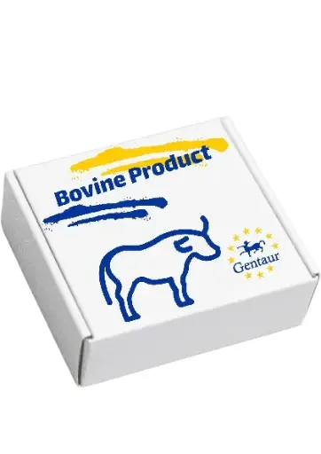 [0645-209-005] Bovine Serum Albumin ''BSA'' in NEB buffer   4x 1.5 mL